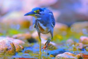 竞猜世界杯,一场跨越时空的全球狂欢竞猜世界杯