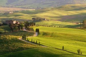 亚洲世界杯,体育盛事中的文明对话亚洲世界杯